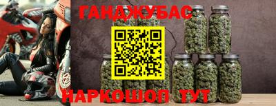прущие грибы Камышлов
