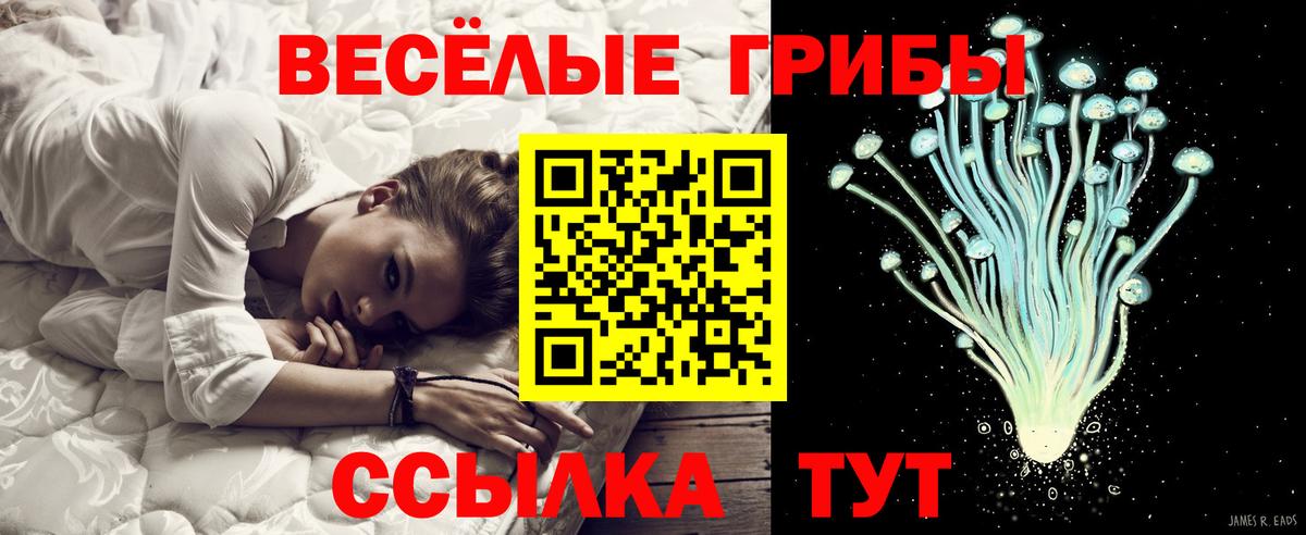 Псилоцибиновые грибы ЛСД Назарово